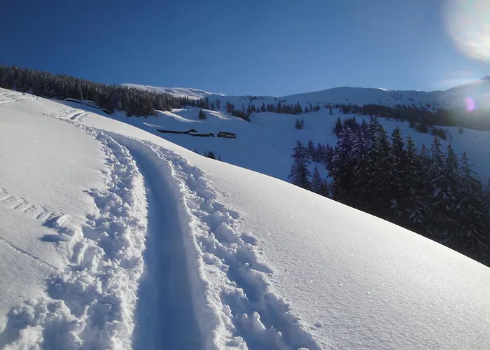 شقة هايم فغن