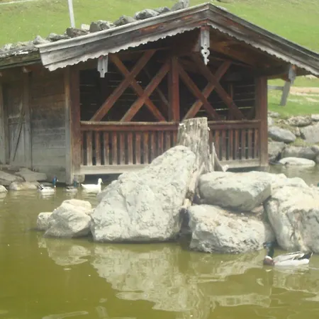 Heim
